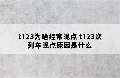 t123为啥经常晚点 t123次列车晚点原因是什么